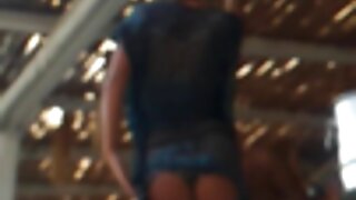 정부