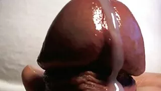 턱-떨어지고 병아리 목 반짝이는 강력한 딕