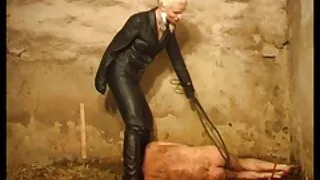 금발의 빤 음경에서 셀카르